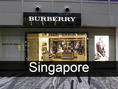 burberry baby singapore|Burberry Singapore website.